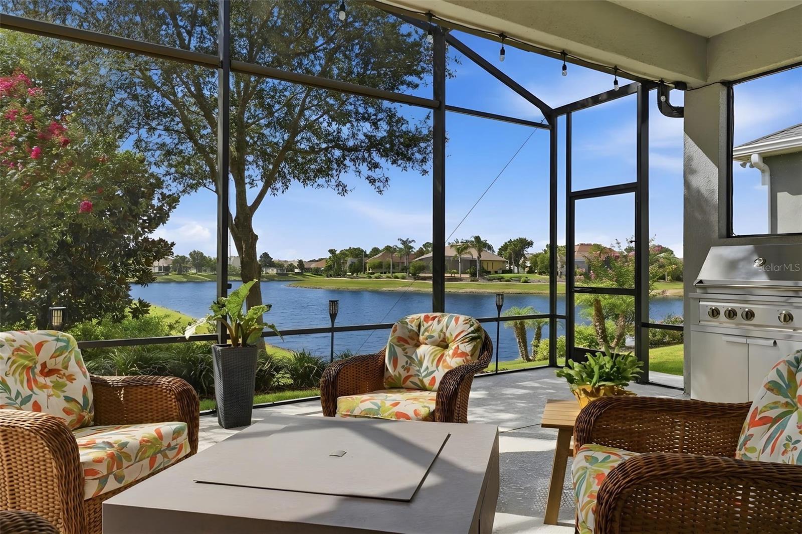 LAKES OF MOUNT DORA - Residential