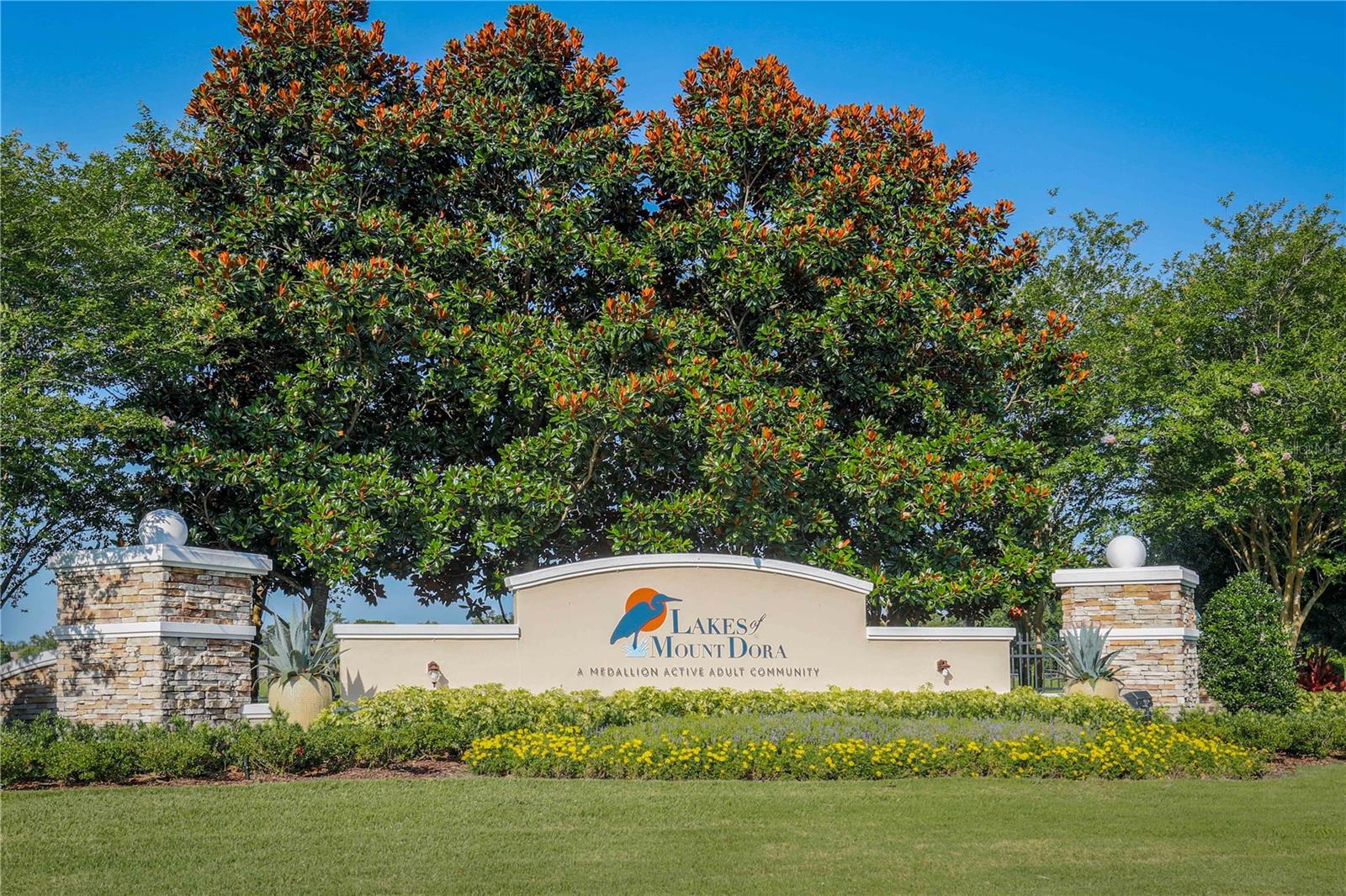 LAKES OF MOUNT DORA - Residential