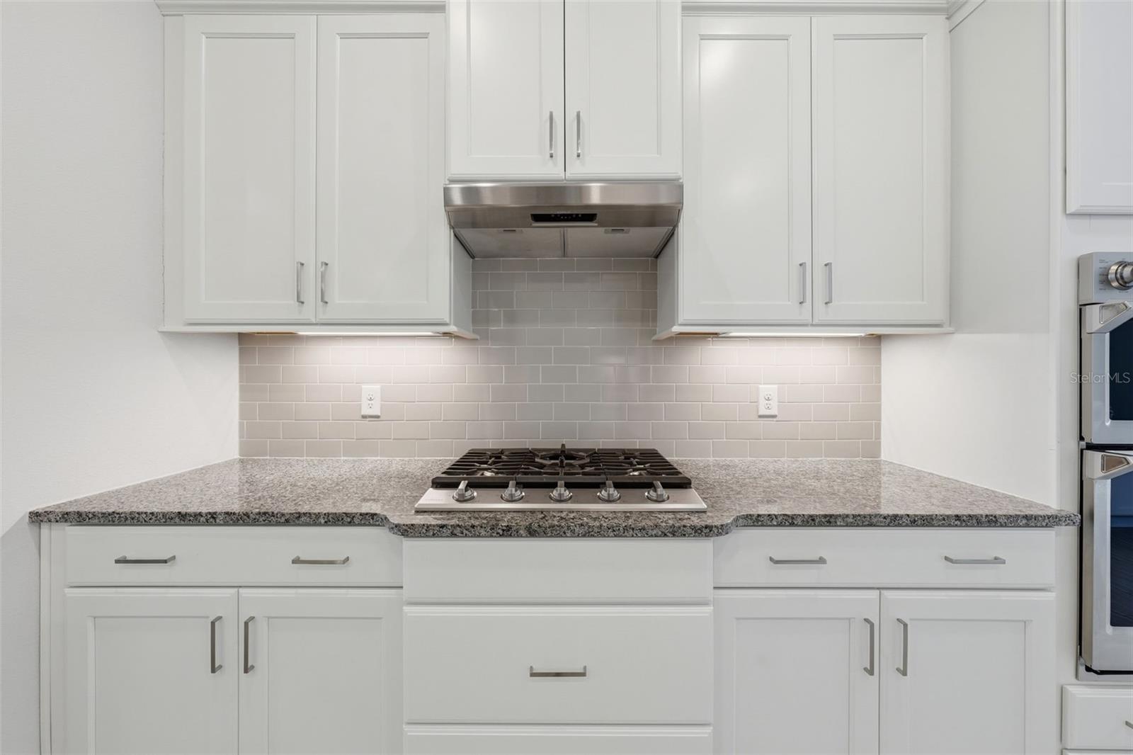 LAKES OF MOUNT DORA - Residential
