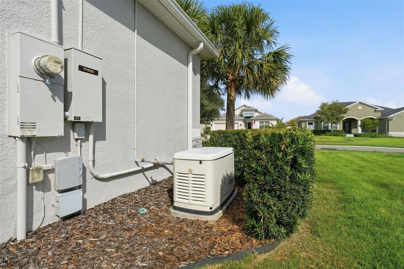 LAKES OF MOUNT DORA - Residential