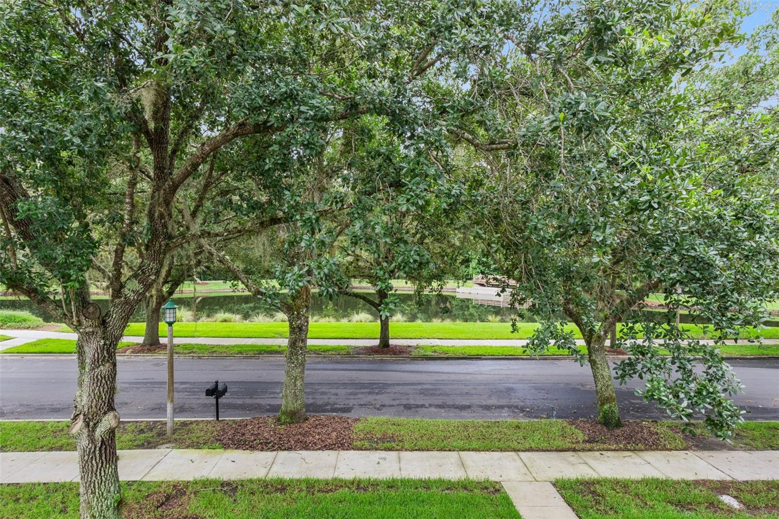 CELEBRATION ROSEVILLE CORNER - Residential