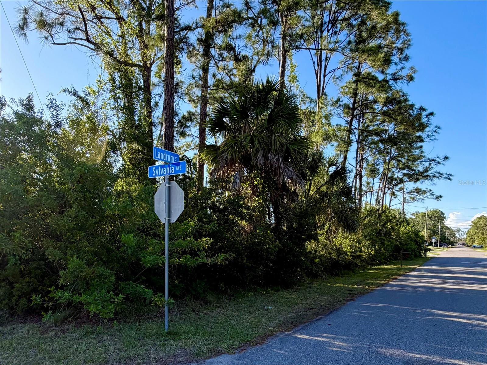 This exceptional double-sized lot, just under half an acre, offers a rare opportunity to build in a highly desirable and rapidly growing area. With convenient access to major roads and highways, the property is ideally positioned while still enjoying a quiet, tucked-away setting free from traffic and noise—providing the perfect balance of accessibility and tranquility. Public water is available right at the street, adding ease and value for future construction.

Located in a peaceful neighborhood, this property is ideal for those seeking a relaxed Florida lifestyle while remaining close to everyday essentials. The surrounding area continues to experience steady growth, with new residential and commercial developments enhancing both value and convenience.

A newly planned hospital, currently under construction and expected to be completed between 2027 and 2028, is just minutes away—adding even more long-term appeal to this location.

Enjoy close proximity to shopping, dining, gas stations, coffee shops, and other essential services, along with a short drive to some of the best beaches on the Gulf Coast. This oversized lot offers the perfect combination of comfort, convenience, and future potential—an excellent opportunity to invest and bring your vision of a dream home to life.