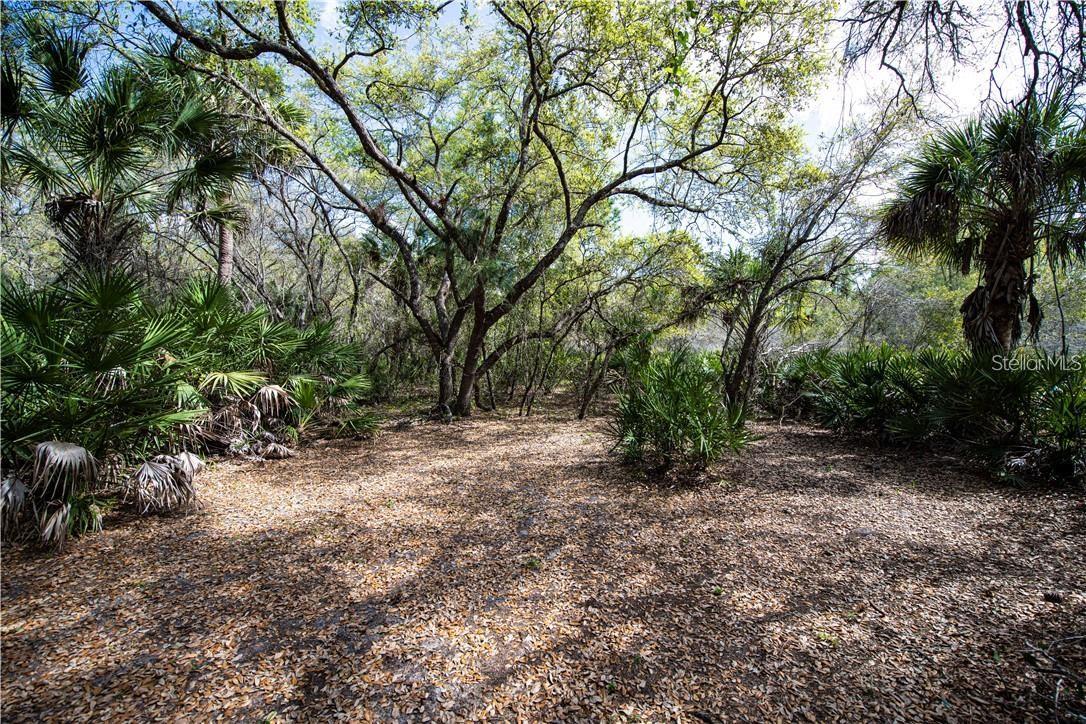 Vacant Lot partially cleared with Lots of Privacy with No HOAs, CDDs or deed restrictions! New homes being built in the vicinity. Not in a flood zone, does not require a flood insurance.
Scrub Jay area. 
 Less than 2 miles from US 41 (Tamiami Trail), connecting you to all Port Charlotte and Nort Port. A quick 30 minutes to Englewood Beach and Manasota Key. Close to golfing, boating, great restaurants, and the Cocoplum Village Shoppes, Boat Ramps, Medical and minutes to the Punta Gorda Airport. Since there is no HOA, you will be free to build your dream home without the hassle of deed restrictions. This is an excellent choice for your new home in paradise!