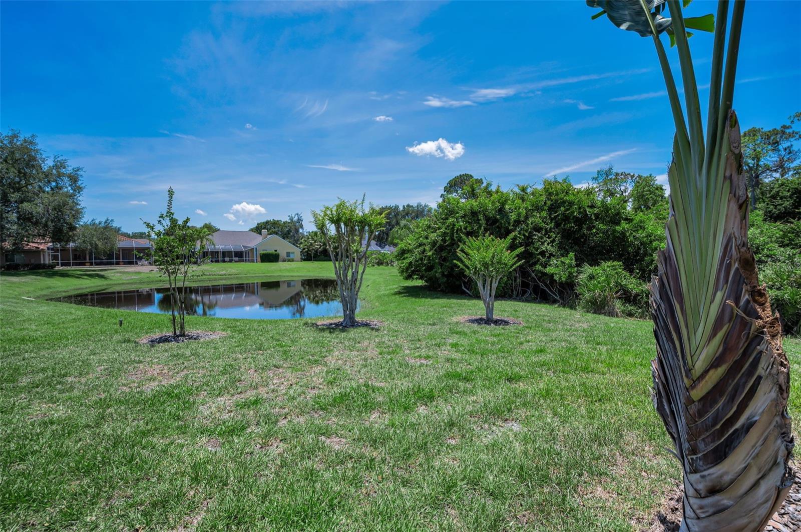 JUNIPER BAY PH 4 - Residential