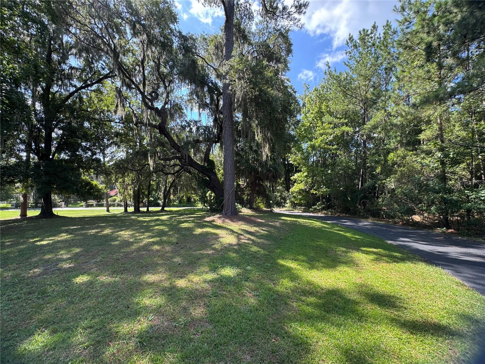 SHADY GROVE - Land