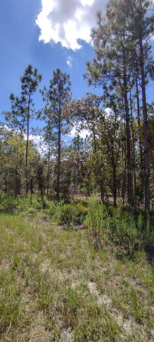 RAINBOW LAKES ESTATE - Land