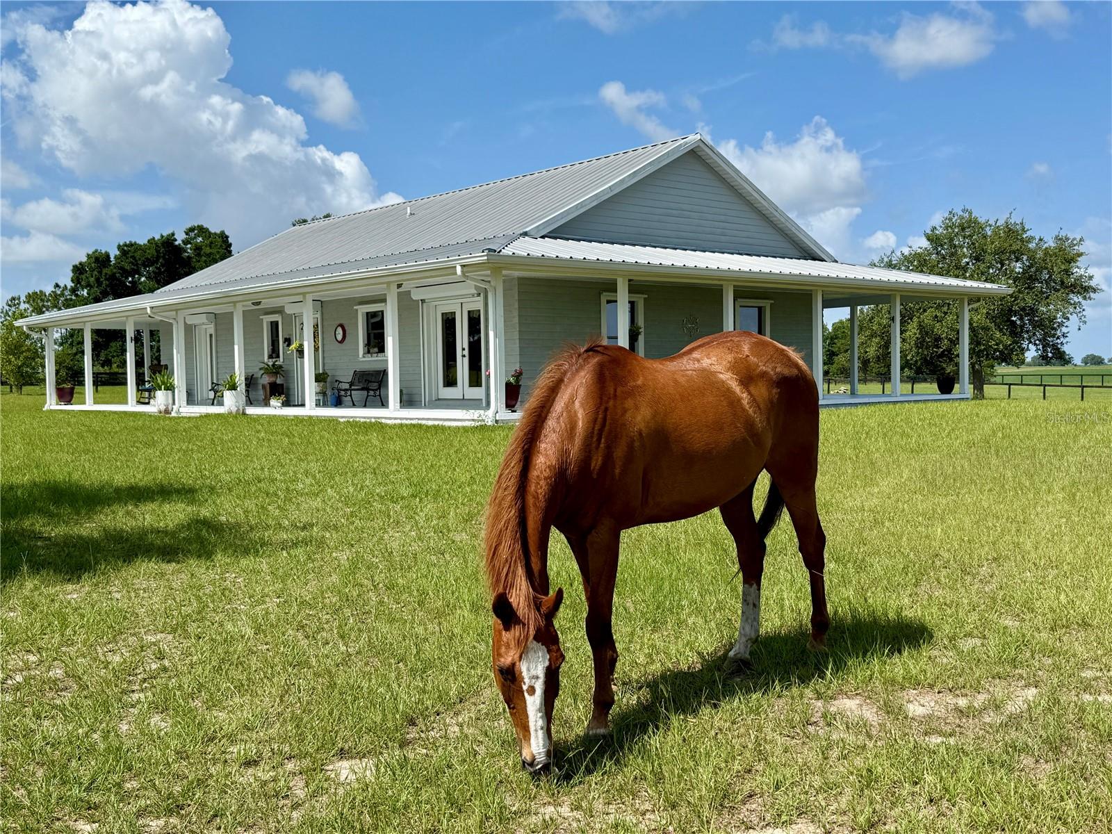 RED TAIL AIRSTRIP - Residential