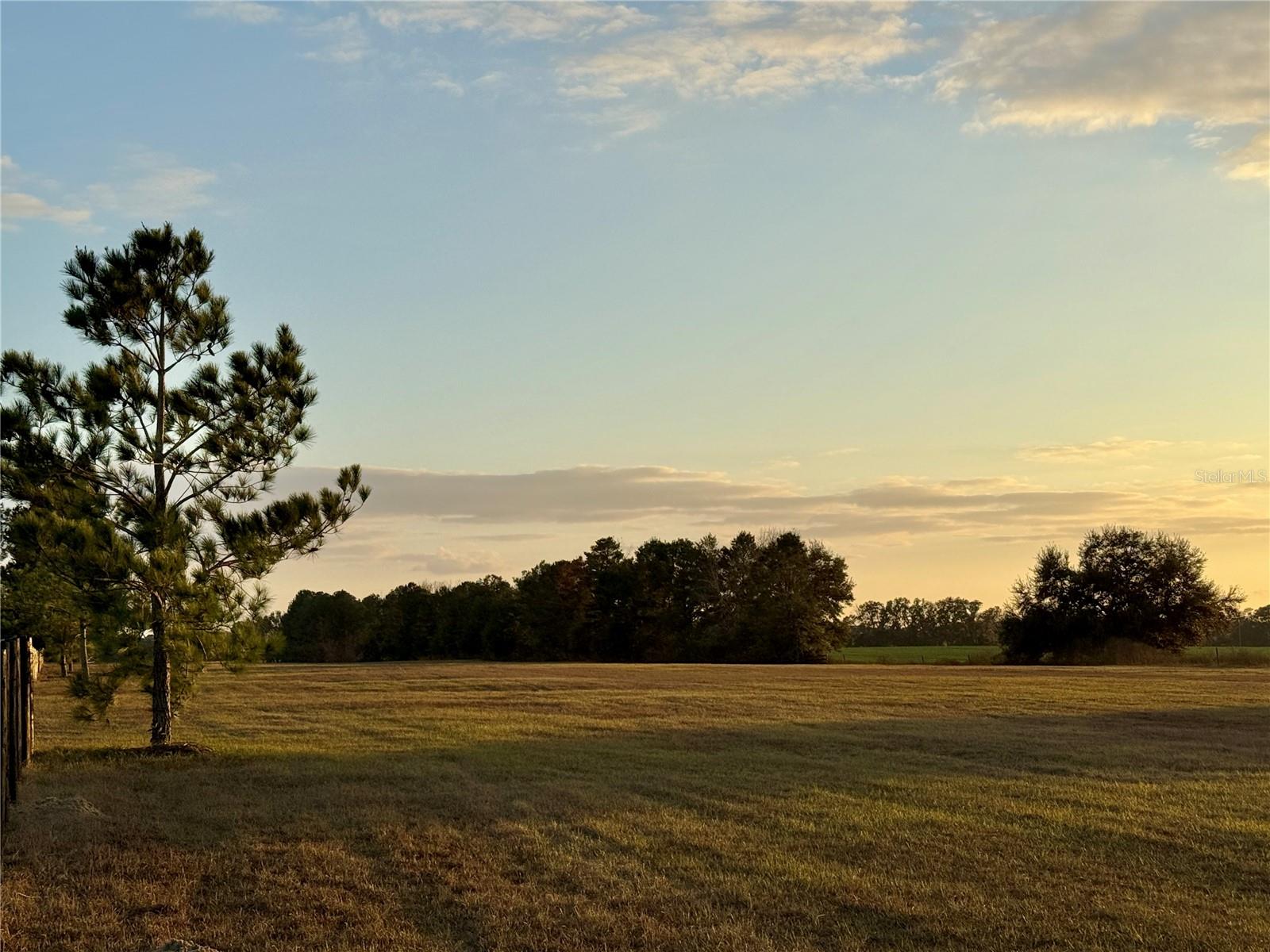 RED TAIL AIRSTRIP - Residential