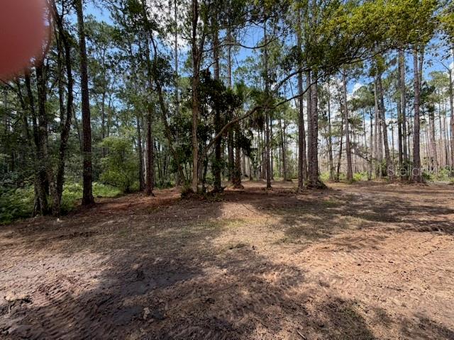 DAYTONA PARK ESTATES REP SEC G - Land