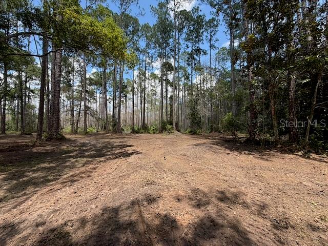 DAYTONA PARK ESTATES REP SEC G - Land