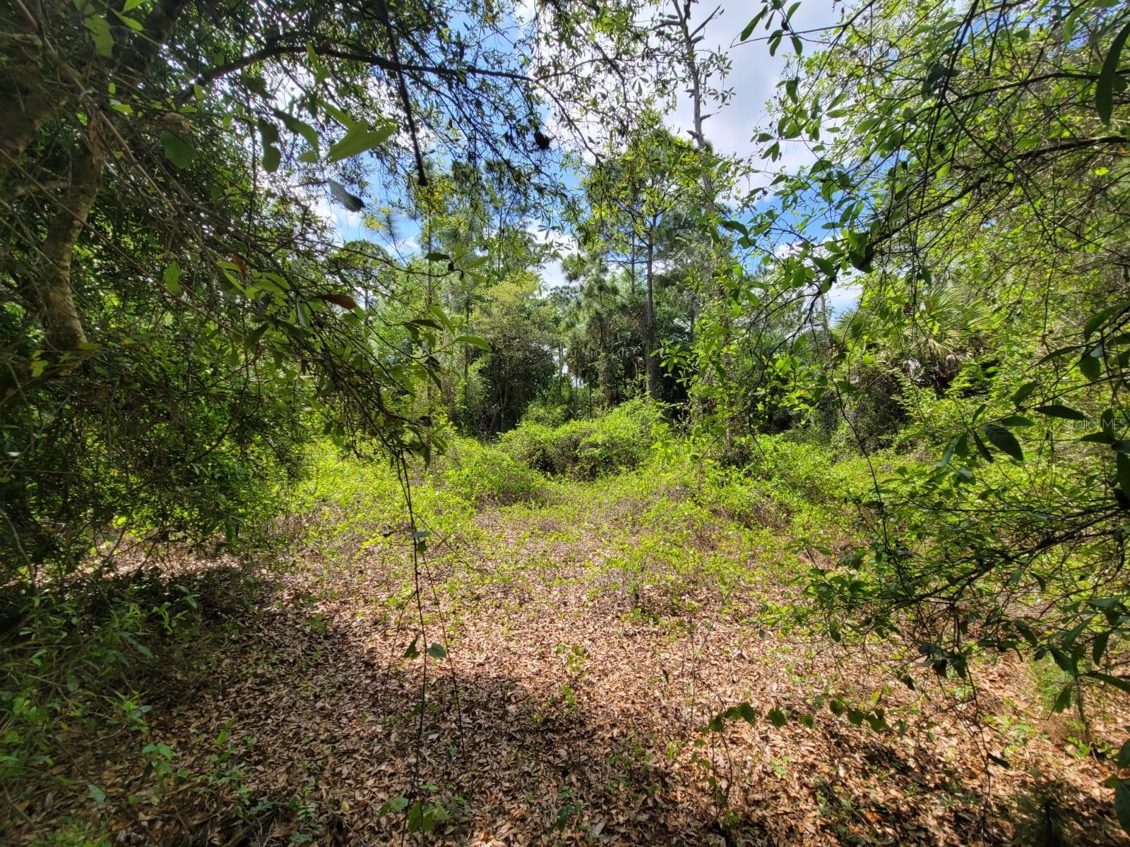MONTURA RANCH ESTATE 01 ST - Land