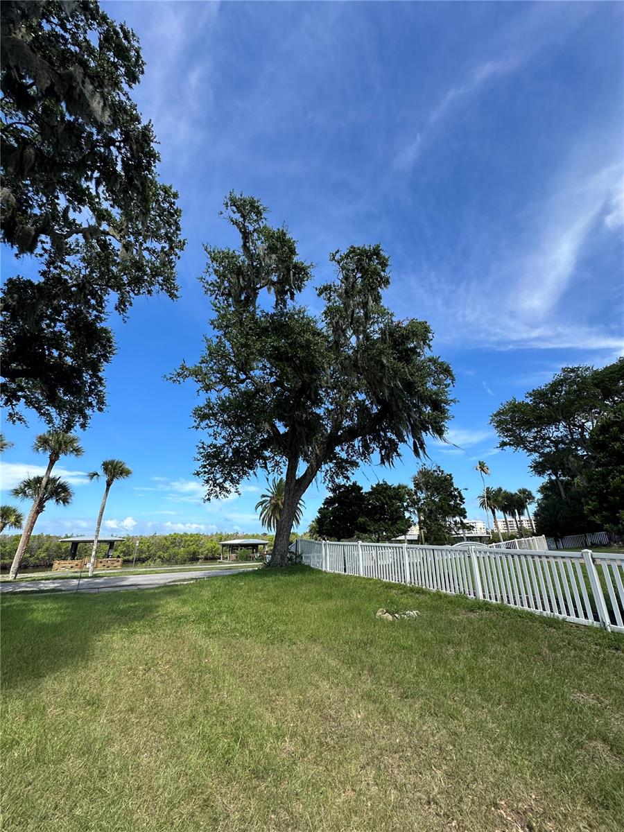 BOUCHELLES PALM GROVE BLK 07 DAUGHERTYS NEW SMYRNA - Land