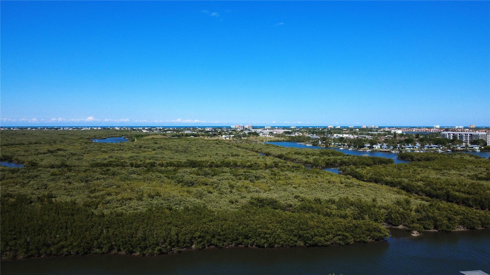 BOUCHELLES PALM GROVE BLK 07 DAUGHERTYS NEW SMYRNA - Land