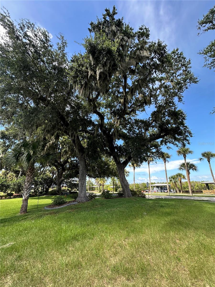 BOUCHELLES PALM GROVE BLK 07 DAUGHERTYS NEW SMYRNA - Land