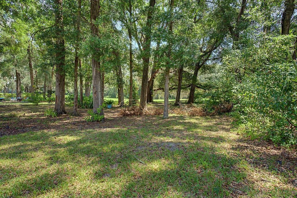FAIRWAY ESTATES OF RAINBOW SPRINGS - Residential