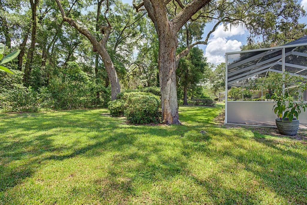 FAIRWAY ESTATES OF RAINBOW SPRINGS - Residential