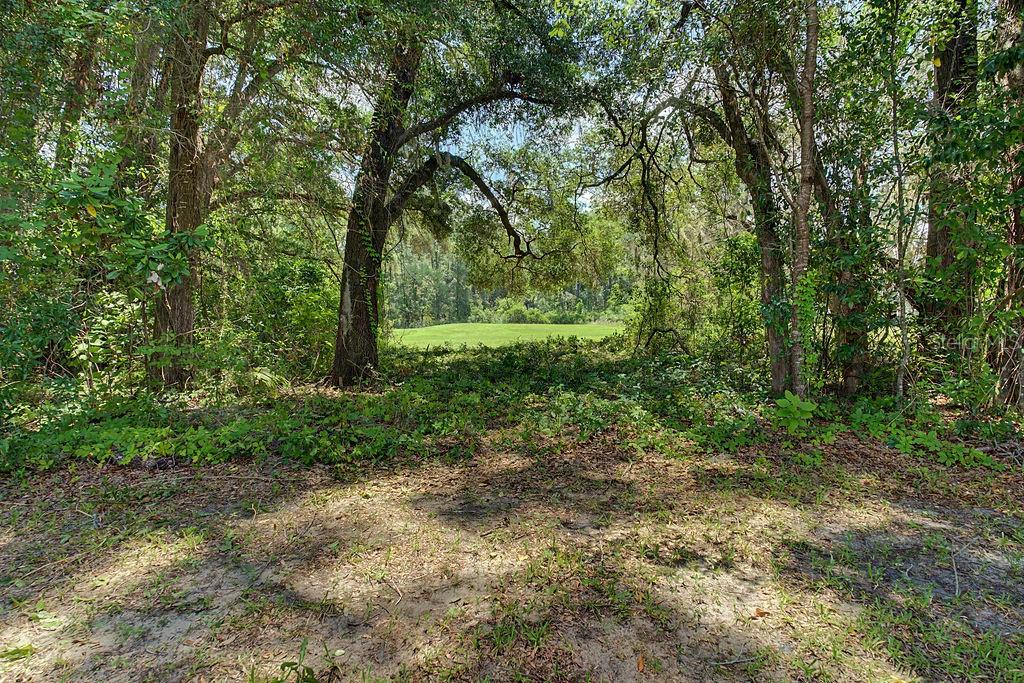 FAIRWAY ESTATES OF RAINBOW SPRINGS - Residential