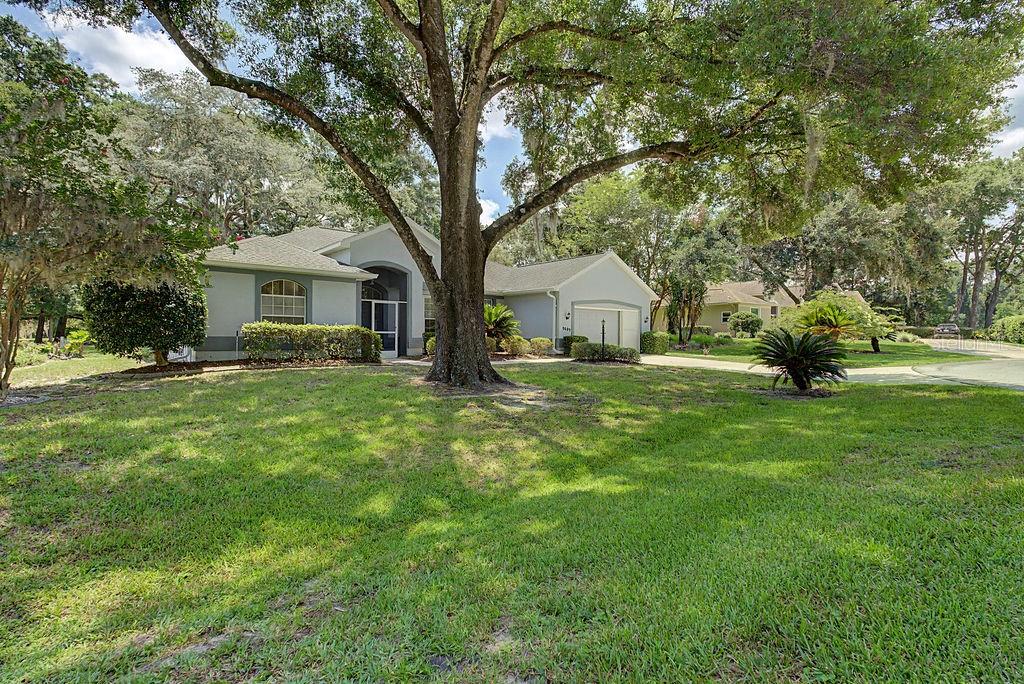 FAIRWAY ESTATES OF RAINBOW SPRINGS - Residential