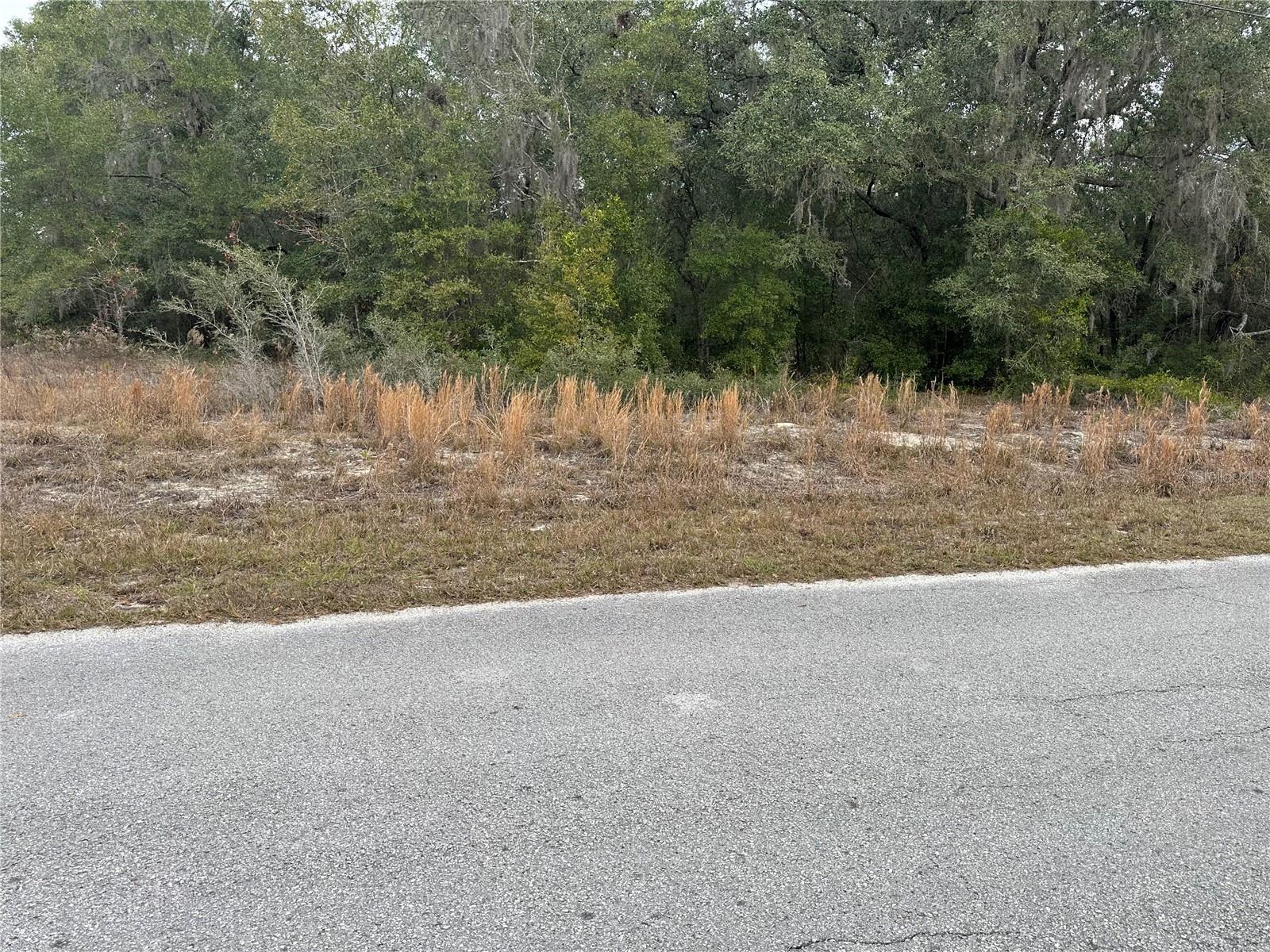 RAINBOW LAKES ESTATE - Land