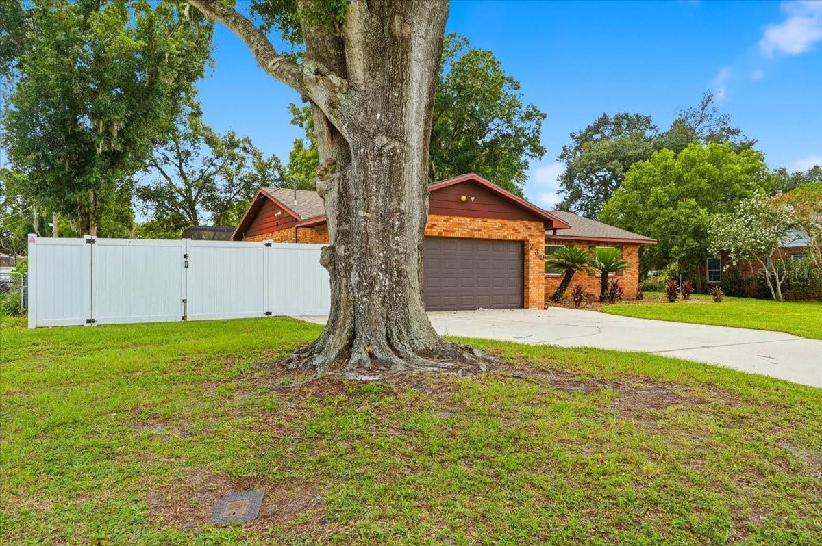 YELLOW PINE FIRST ADD - Residential