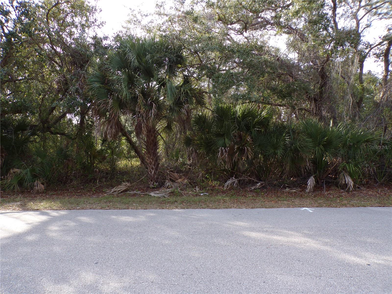 PORT CHARLOTTE SUB 07 - Land