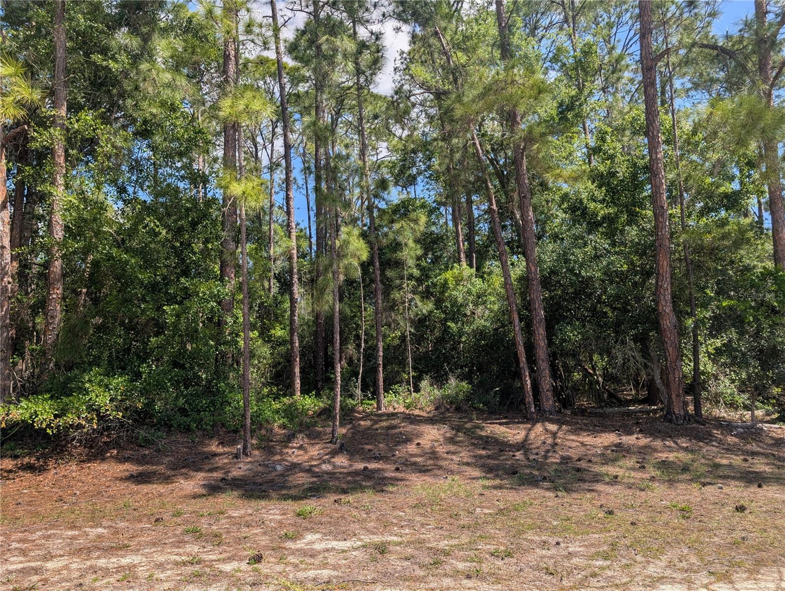 Come build your forever home on this one-half ace lot that located in the lake community of Indian Lake Estates, a golfing, fishing and boating community in the center of Florida. You can be out on Lake Walk in Water fishing in just minutes! Indian Lake Estates is about 20 miles east of Lake Wales. The community surrounds the 7,500 acre lake locally known as Lake Walk In Water, nationally known for its fishing and considered to be one of the best bass fishing lakes in all Florida. The lake has a beach, boat ramp, boat marina and the longest freshwater Fishing pier in the State of Florida. The pavilion is located at the front of the pier and is complete with propane grills and covered picnic tables. The community amenities include an 18-hole golf course, basketball and tennis courts, 23, 000 sq.ft. clubhouse, cafe, post office, churches, library, fitness room and pro shop. If you love nature and the peace and quiet of the country you're in luck. Wildlife is plentiful! You will see deer, raccoon, turkey, turtles, cranes and various species of birds that call Indian Lake Estates their home.
Orlando and Disney is only about an hour's drive north and Tampa, Busch Gardens, and the Gulf's pristine beaches only a little over an hour west. Historic Bok Tower, a National Landmark, is in nearby Lake Wales. The Westgate River Ranch Resort and Rodeo is just six miles away. An authentic Florida dude ranch and full-service resort offering guests the opportunity to experience "Old Florida." Encompassing 1,700 beautiful acres, Westgate River Ranch features horseback riding, wildlife airboat and swamp buggy rides, Saturday night championship rodeo, trap/skeet range, nature hikes, petting farm, marina, Adventure Park with zip line and rock climbing wall, Westgate Smokehouse Grill and River Ranch Saloon and much more. Cowboy-themed accommodations range from ranch-themed lodge guestrooms and deluxe lodge suites to spacious cottages, two-bedroom cabins, Glamping and Luxe Teepees. Come out and see how great life can be at Indian Lake Estates! Polk County's best kept secret!