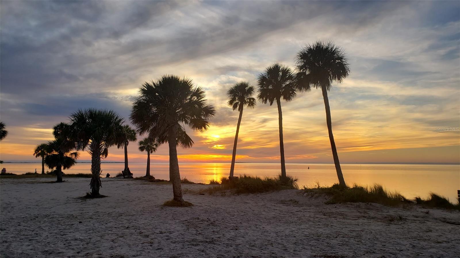 SEASCAPE CONDO OF TARPON SPGS - Residential