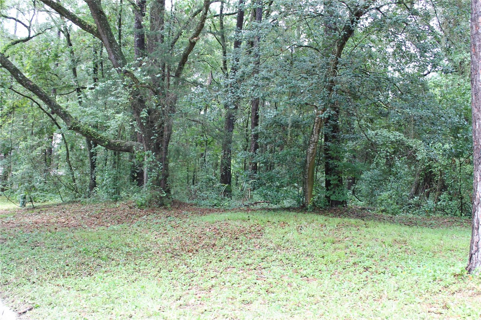 TOWER OAKS MANOR UNIT 2 & TOWER OAKS UNIT 1 REPLAT - Land