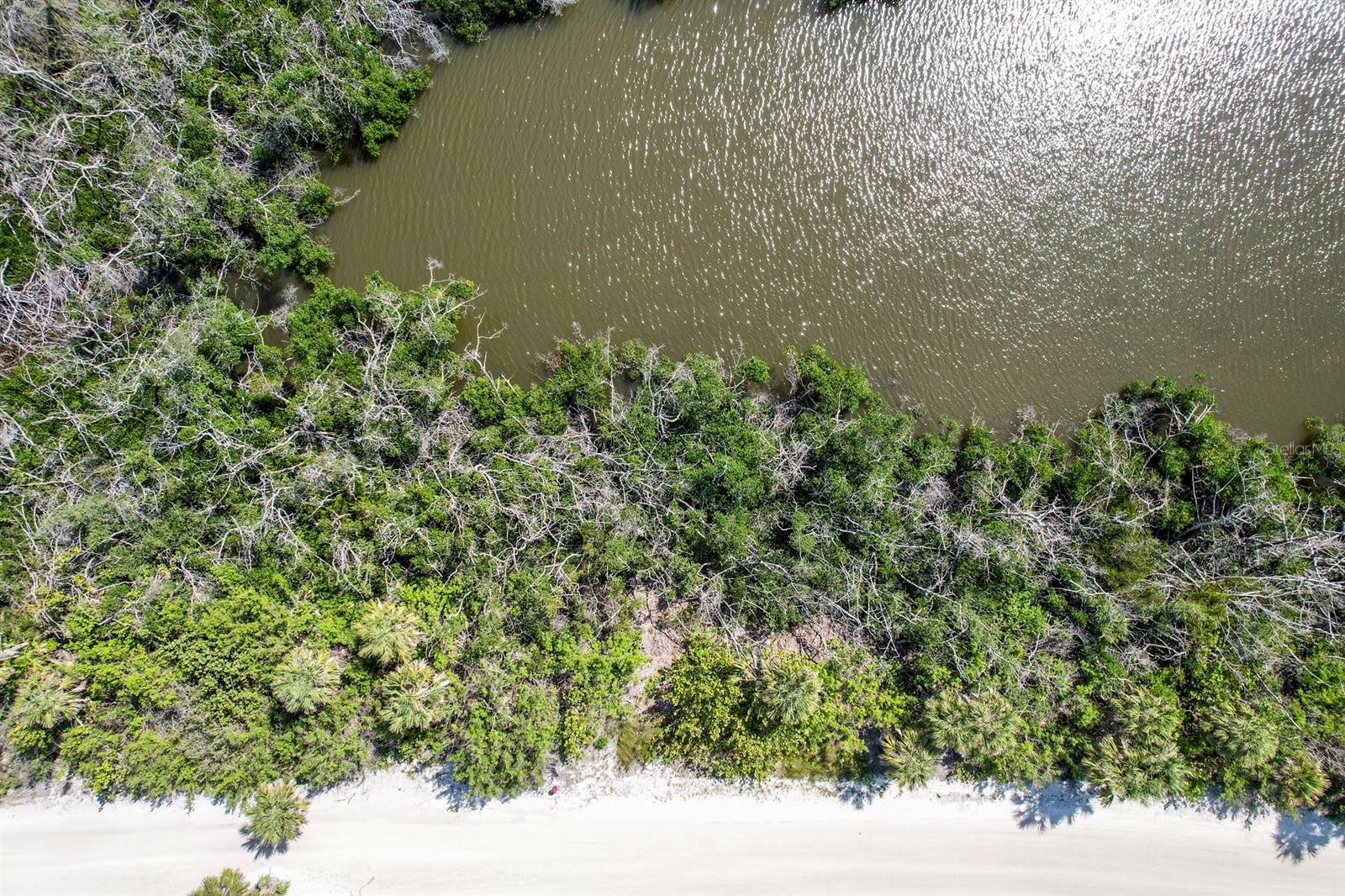 SABAL PALM POINT - Land