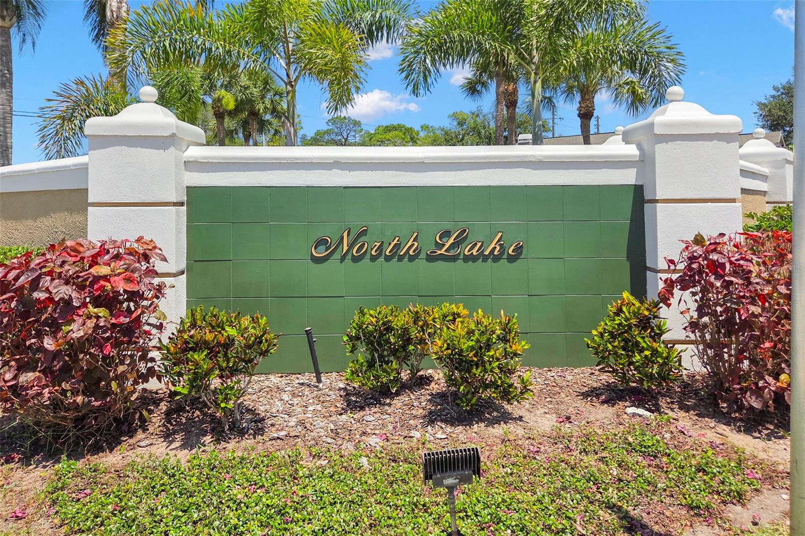 NORTH LAKE OF TARPON SPGS - PH 1 - Residential