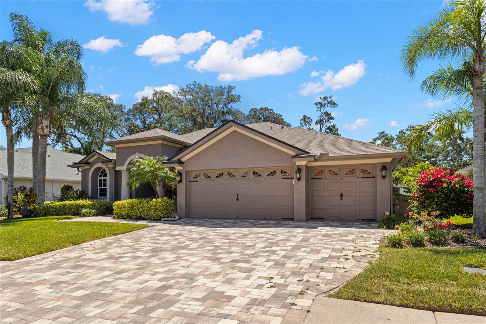 NORTH LAKE OF TARPON SPGS - PH 1 - Residential