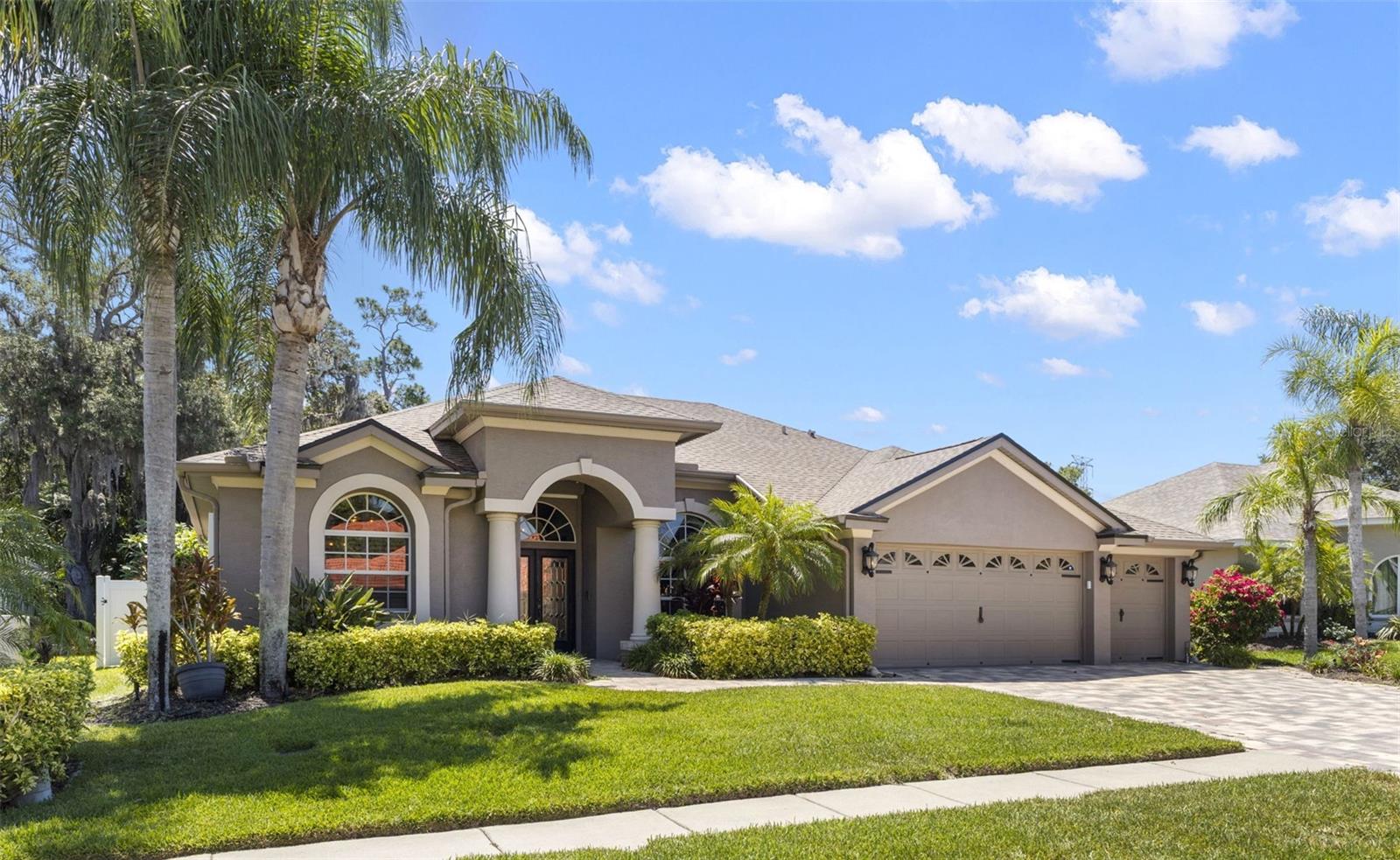 NORTH LAKE OF TARPON SPGS - PH 1 - Residential