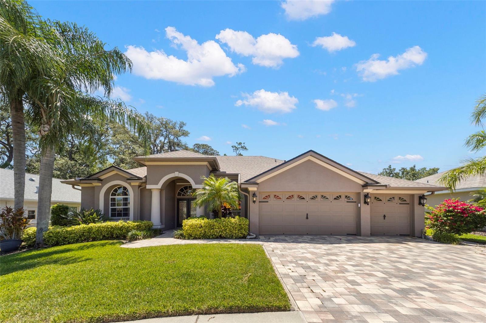 NORTH LAKE OF TARPON SPGS - PH 1 - Residential