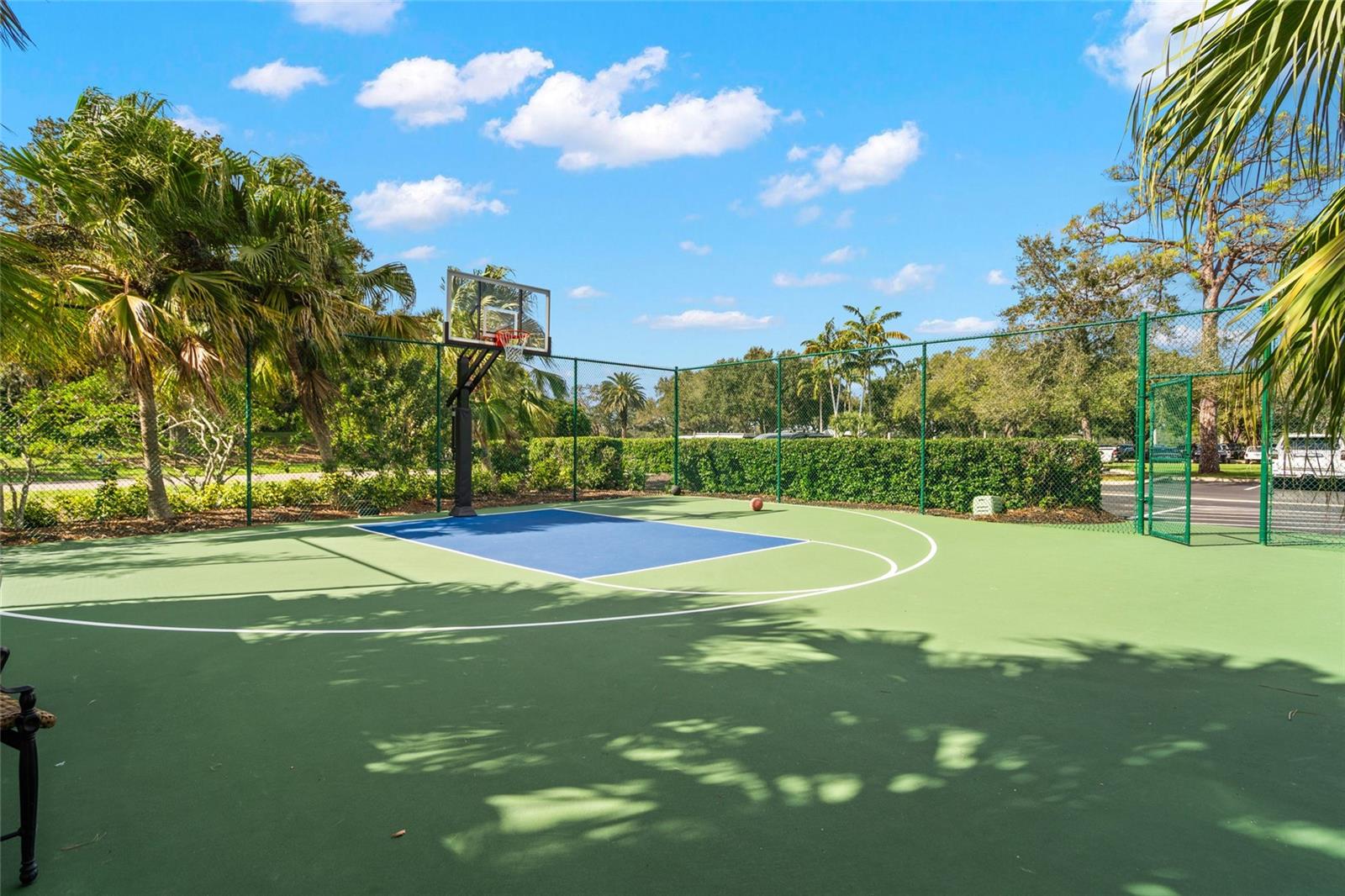 MERIDIAN AT THE OAKS PRESERVE - Residential