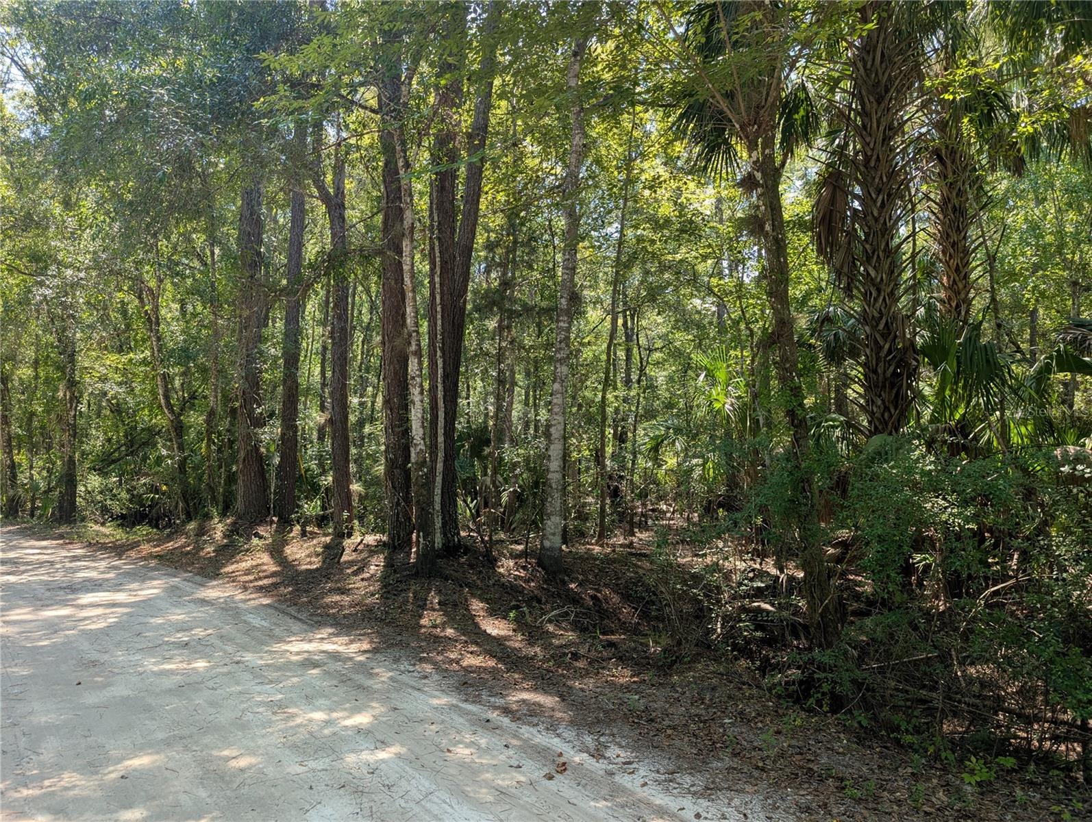 INDIAN OAKS UNREC SUB - Land