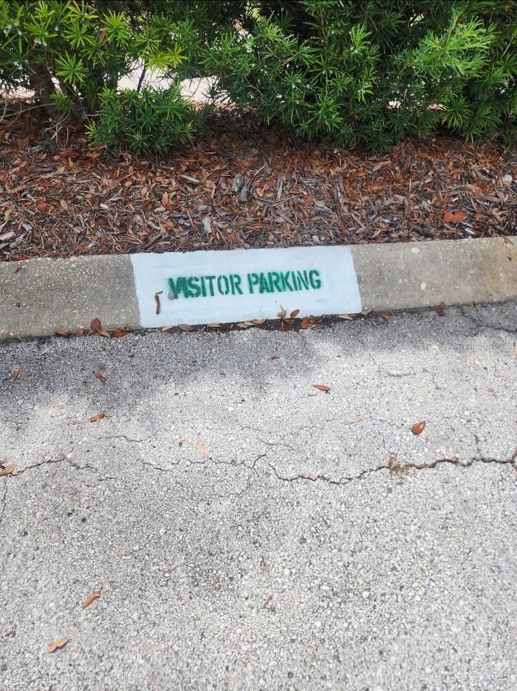 SEMINOLE GARDEN APTS CO-OP - Residential