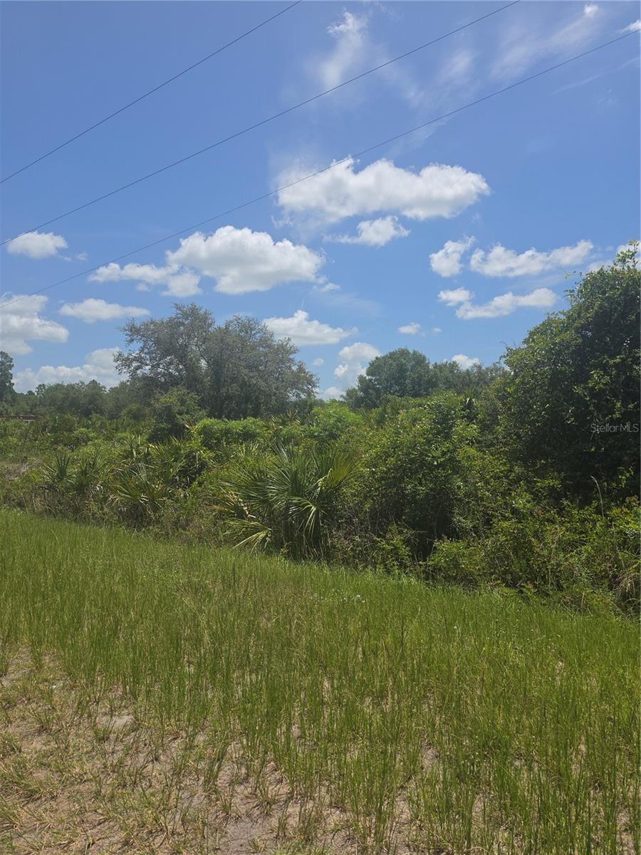 MONTURA RANCH ESTATES - Land