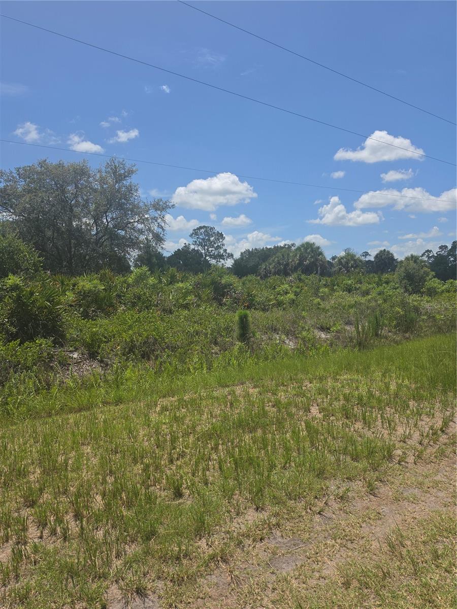MONTURA RANCH ESTATES - Land