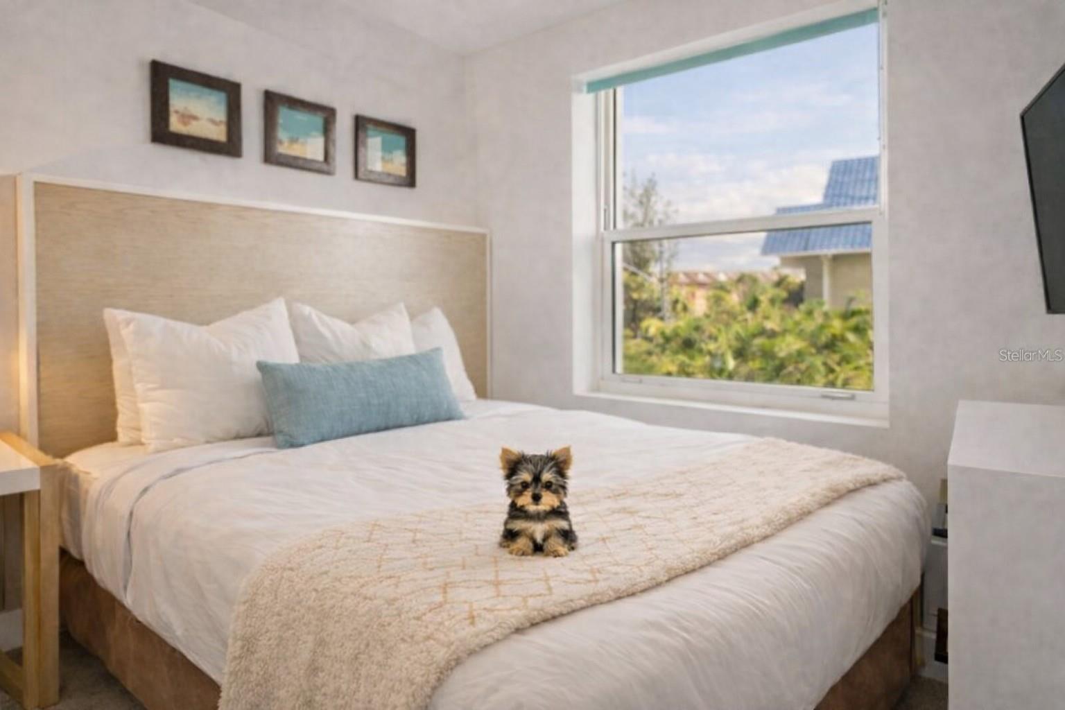 OCEANA AT TREASURE ISLAND CONDO - Residential