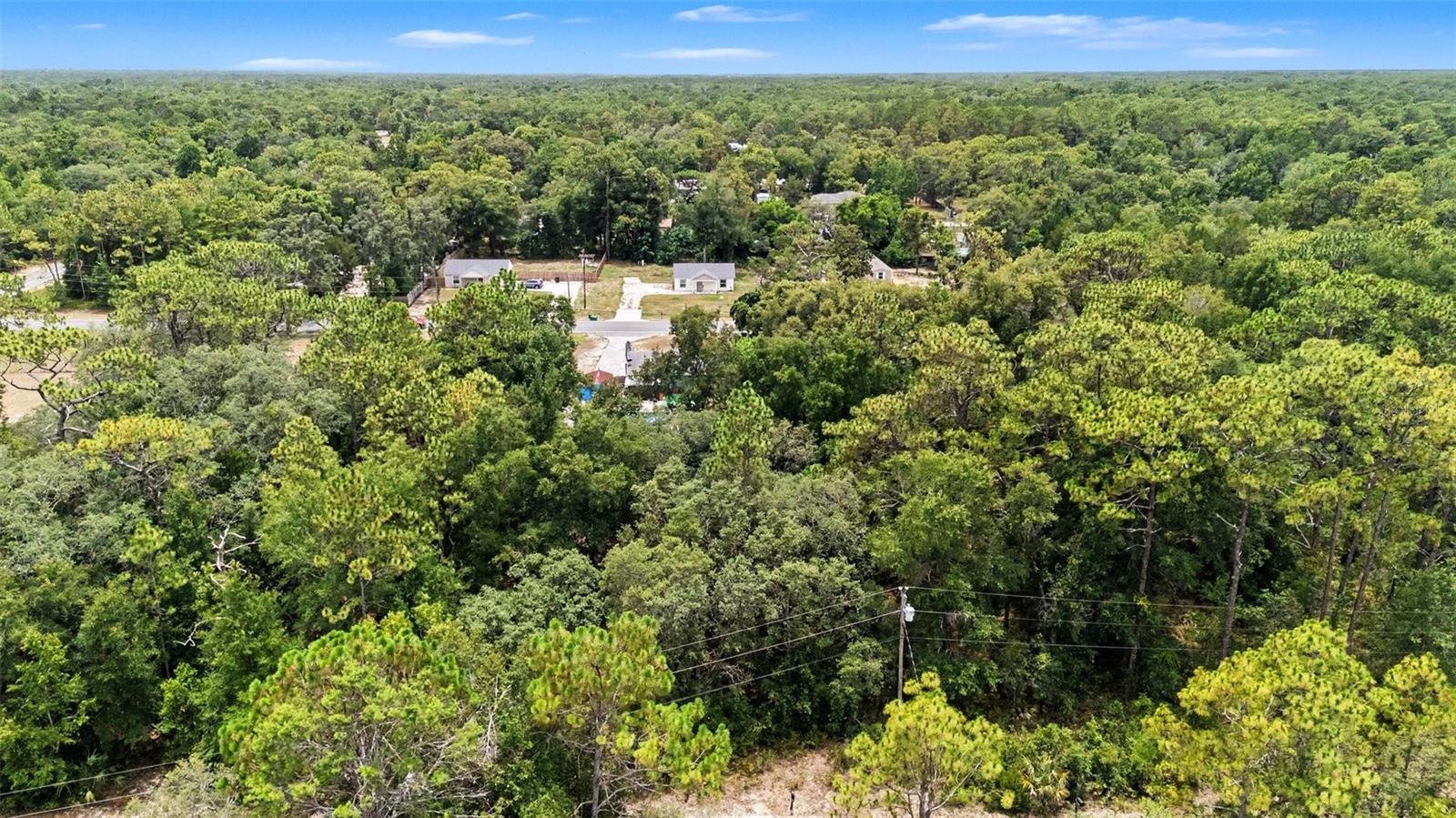 HOMOSASSA ALL-3320 - Land