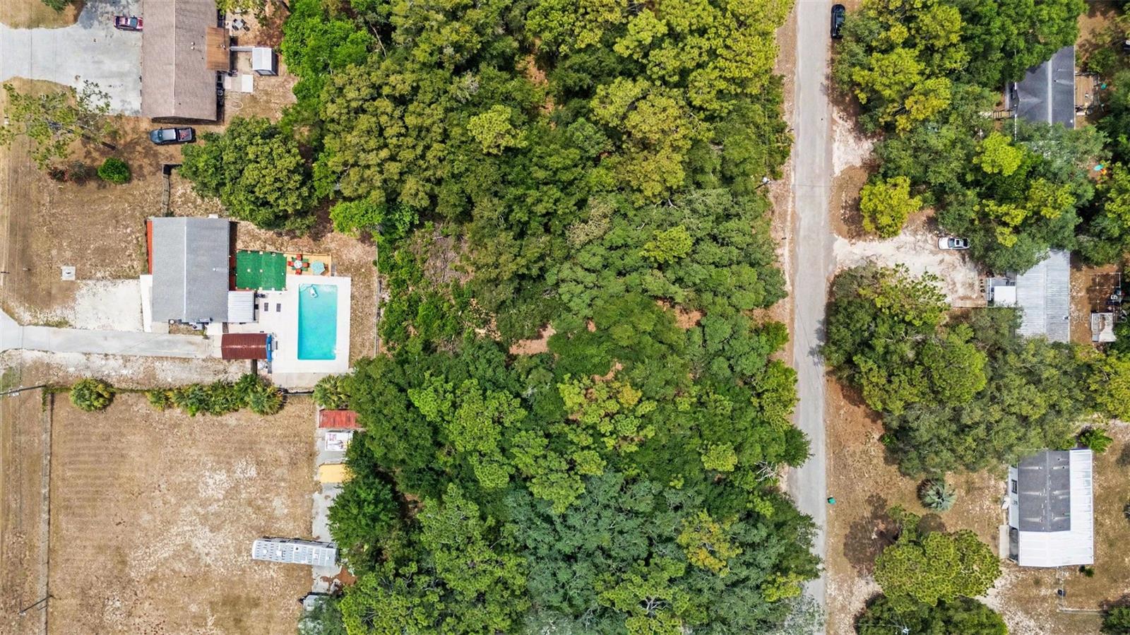 HOMOSASSA ALL-3320 - Land