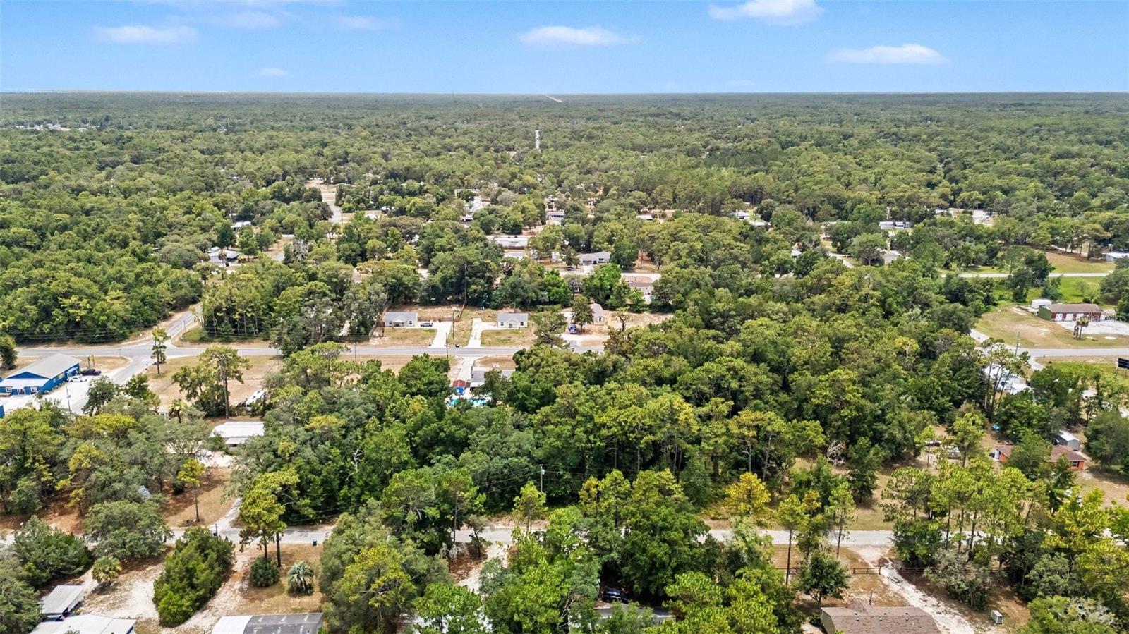 HOMOSASSA ALL-3320 - Land
