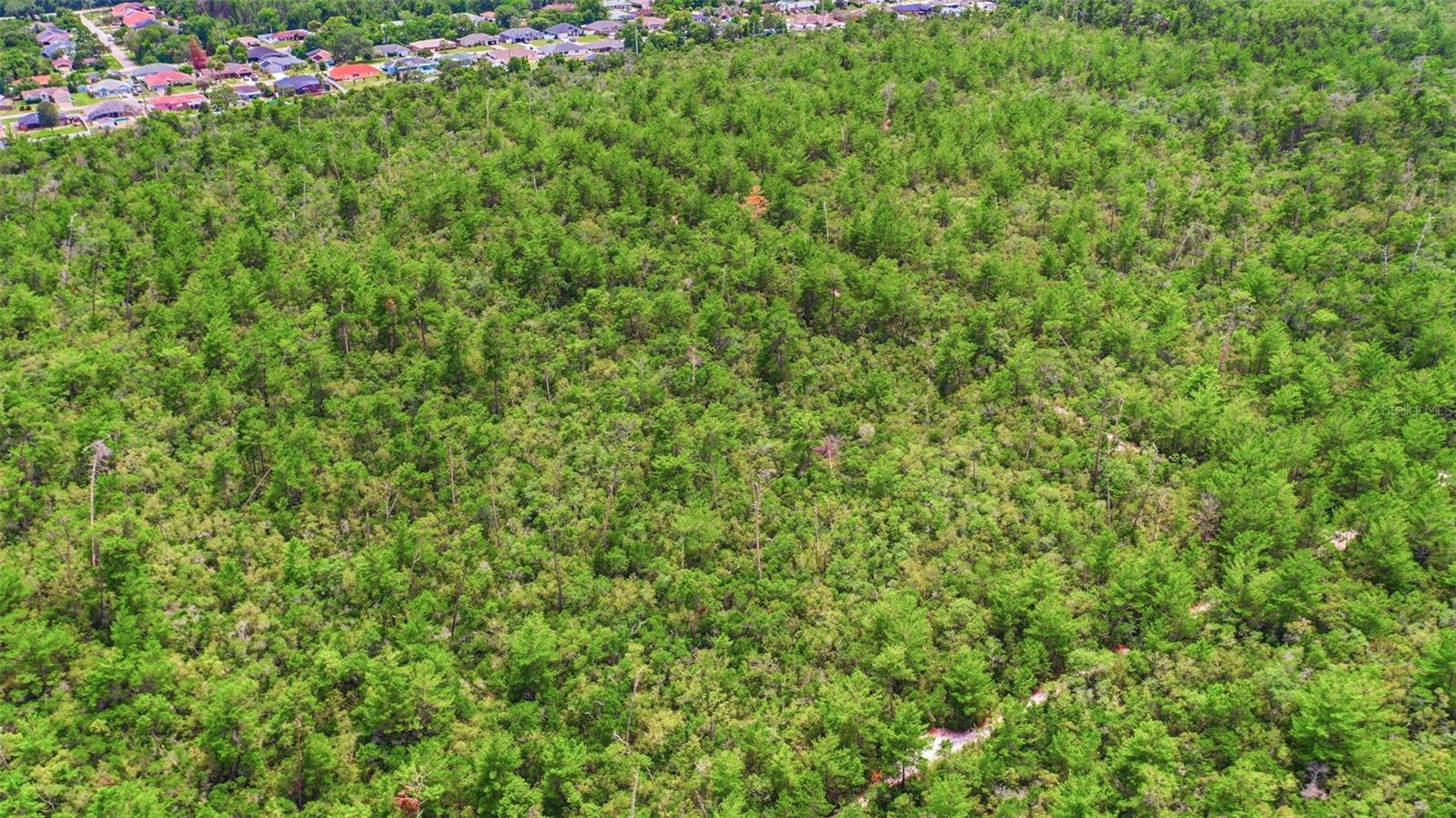 PINE VIEW ESTATES - Land