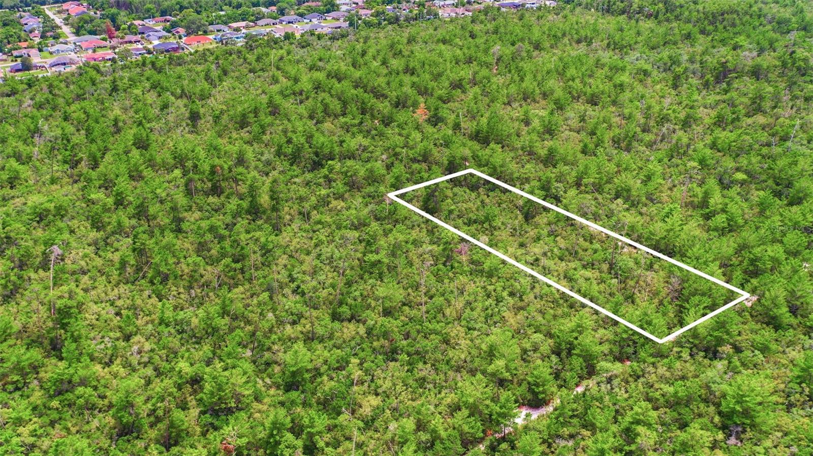 PINE VIEW ESTATES - Land