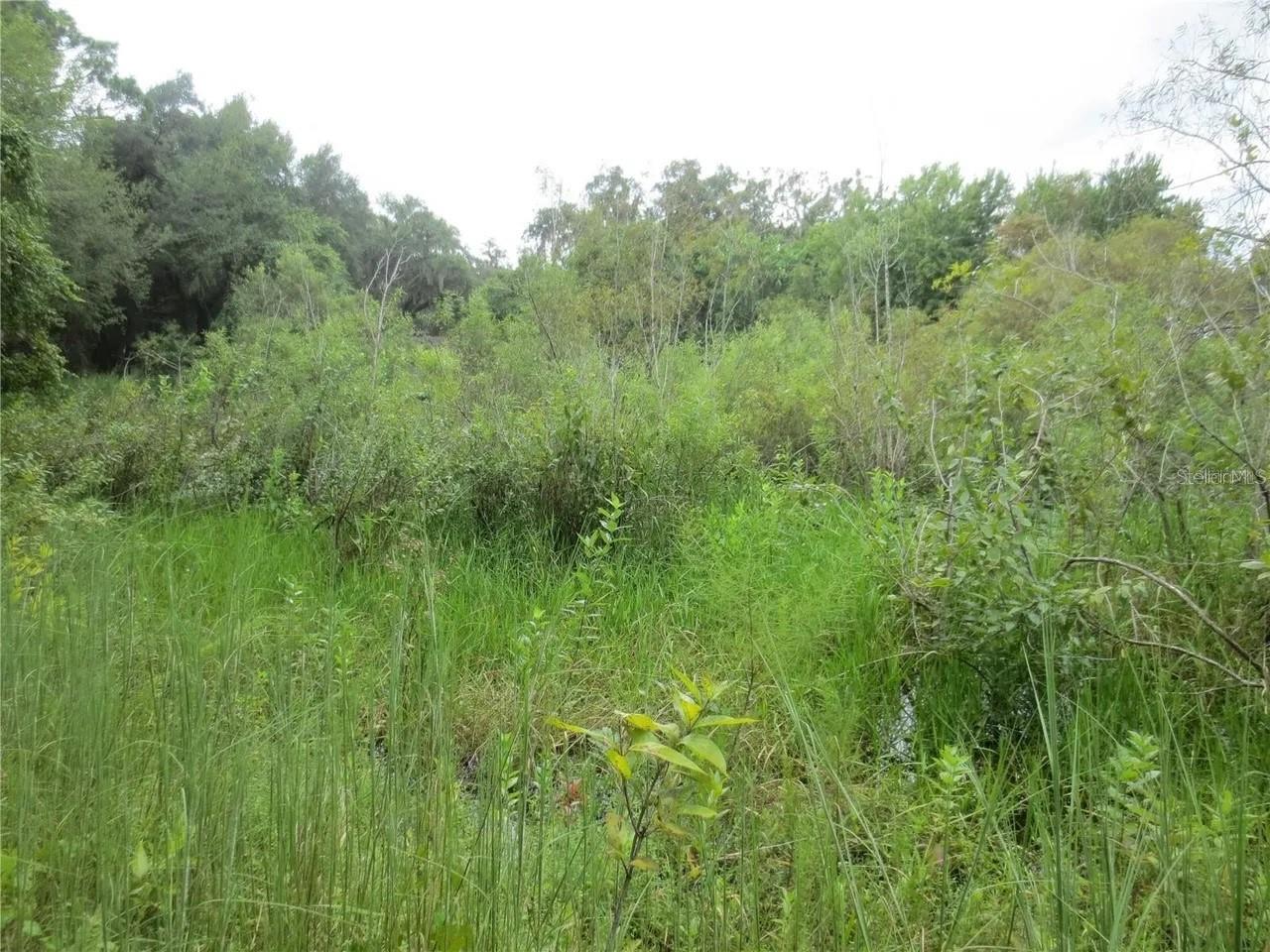 OAK RDG - Land