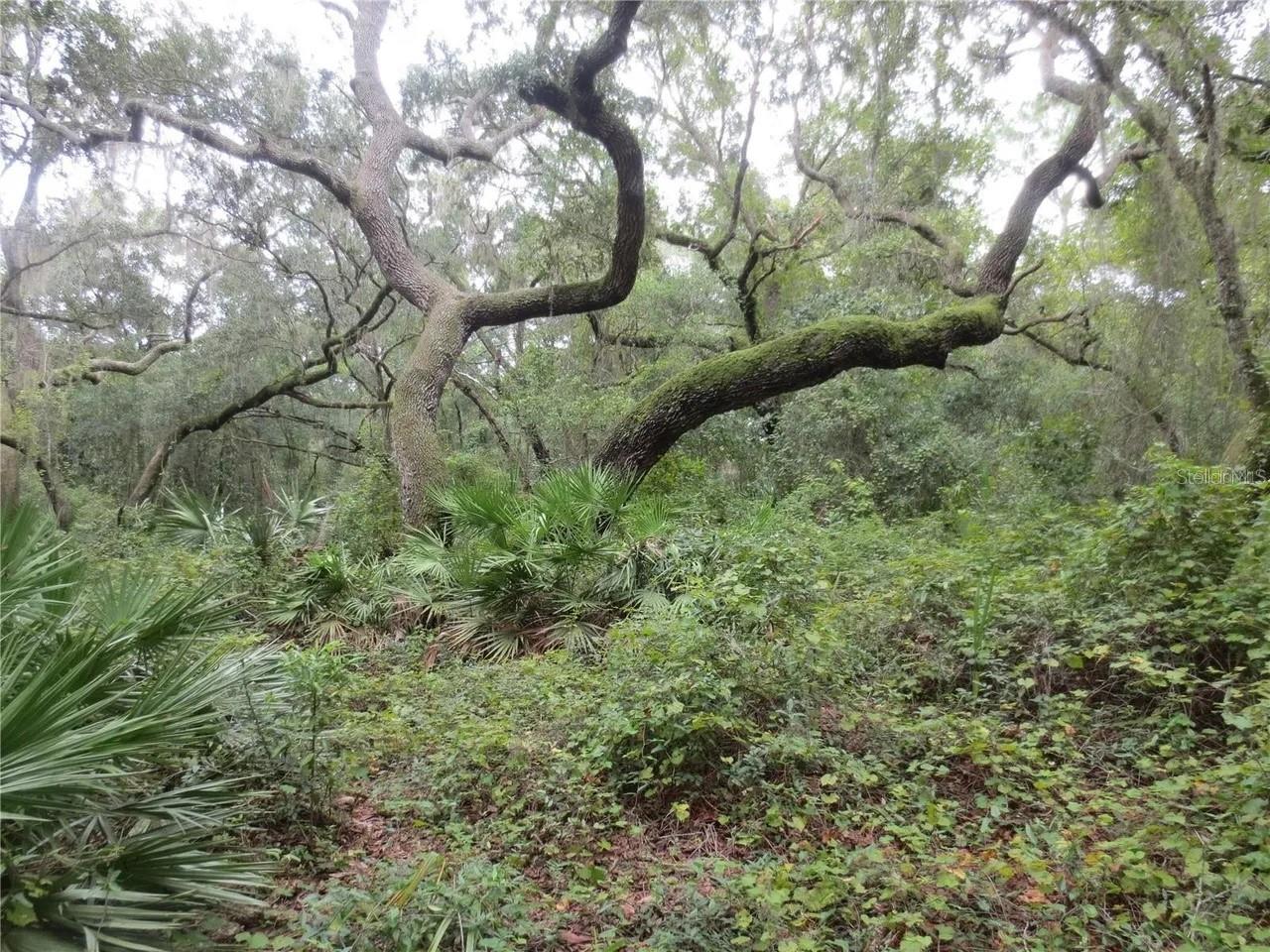 OAK RDG - Land