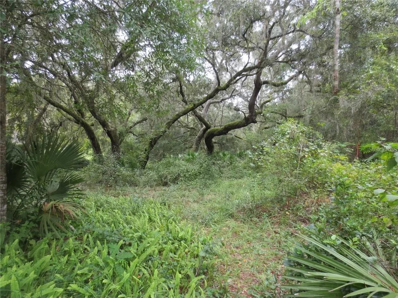 OAK RDG - Land
