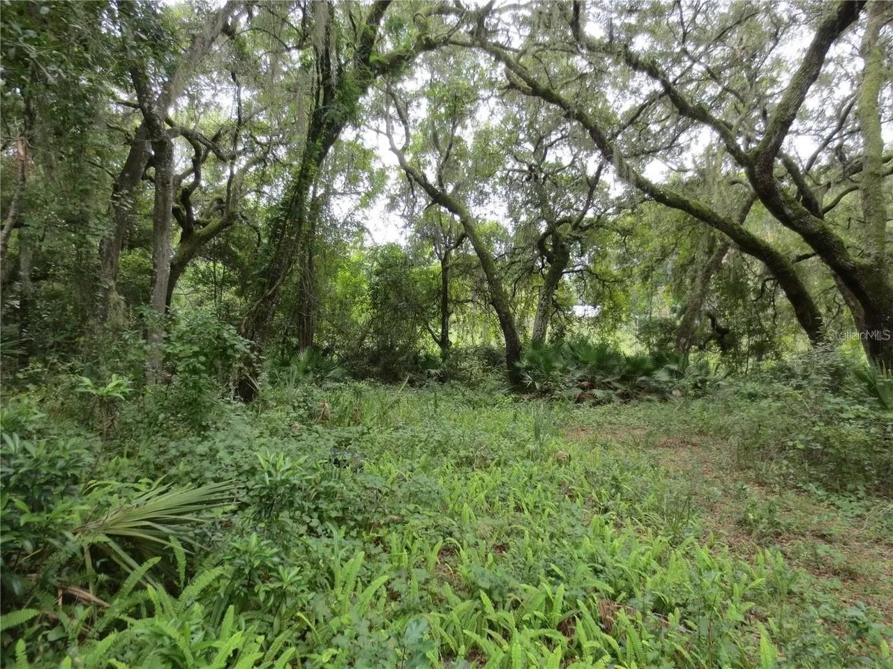 OAK RDG - Land