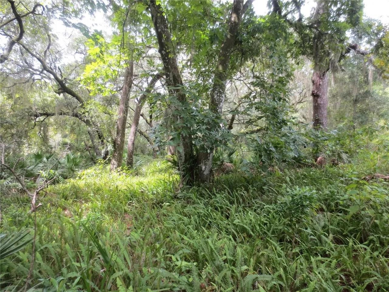 OAK RDG - Land