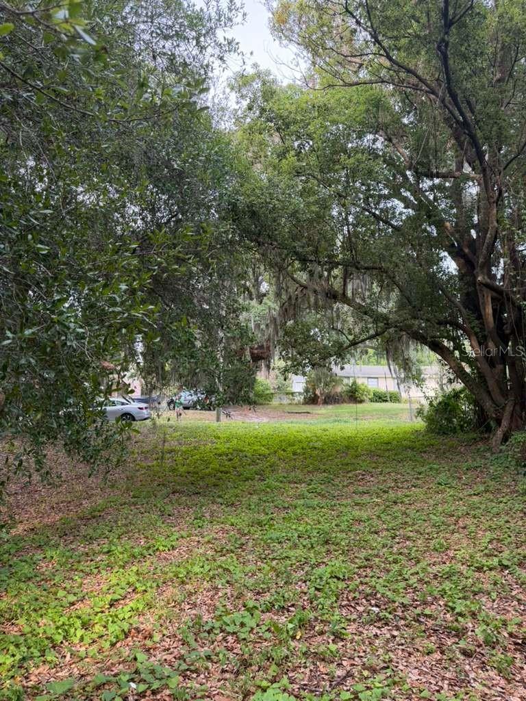 PALMA CEIA COURT - Land